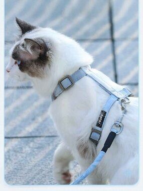 Light Blue Pet Harness & Leash Set (Small Cats/Dogs)